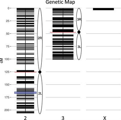 The Genetic Architecture of Post-Zygotic Reproductive Isolation Between Anopheles coluzzii and An. quadriannulatus